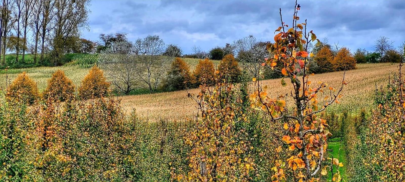 Hoeve Hofgaarde Heers 外观 照片