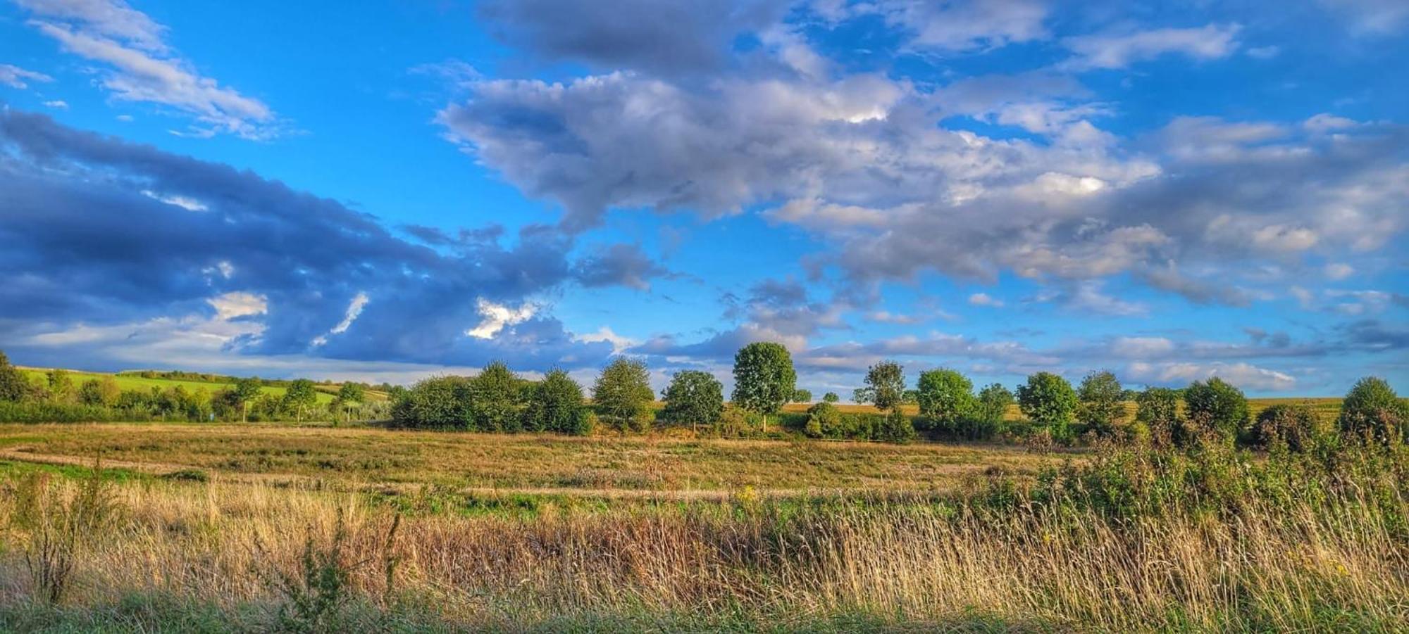 Hoeve Hofgaarde Heers 外观 照片
