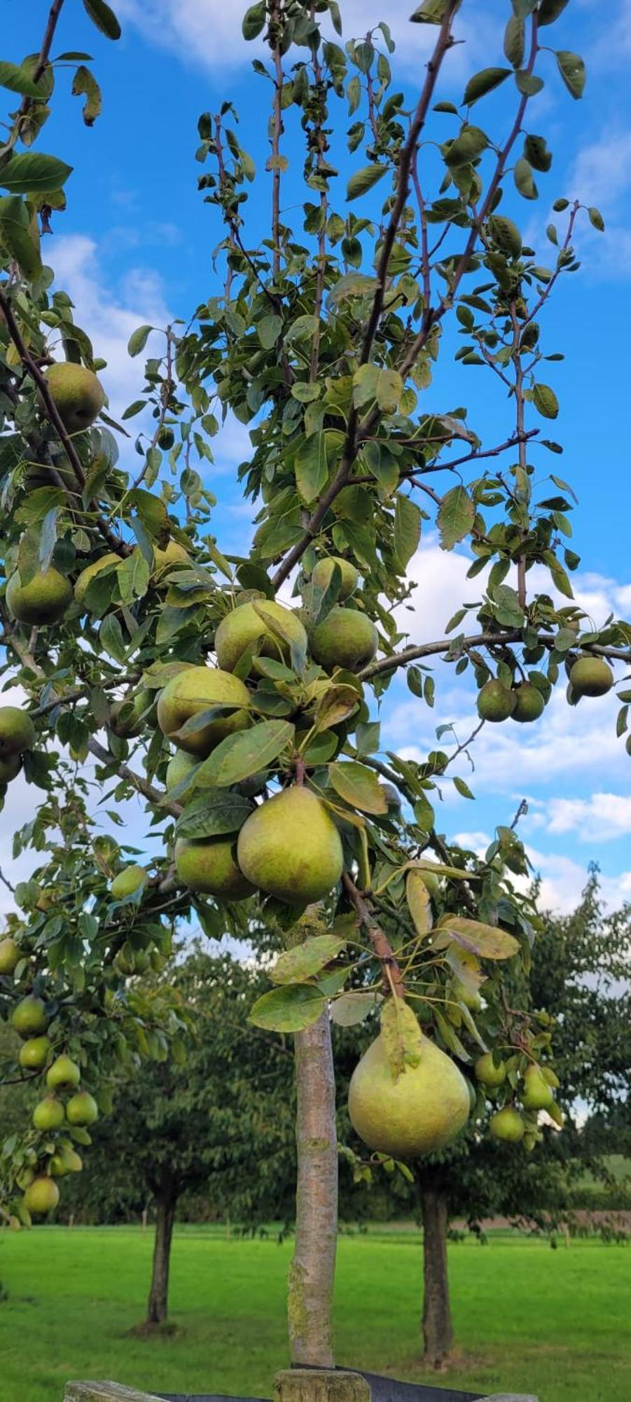 Hoeve Hofgaarde Heers 外观 照片